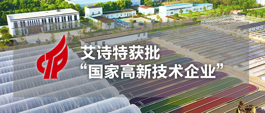 艾詩特蝦青素