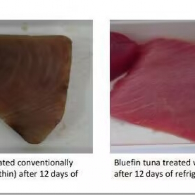 湖北農(nóng)科院：蝦青素對肉類抗氧化研究