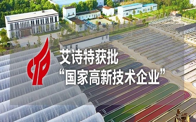 【喜訊】艾詩特成功獲批“國家高新技術企業”