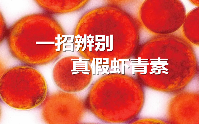 【實驗】手把手教你，一招辨別真假蝦青素！