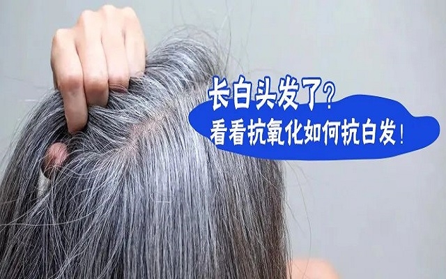防治白發要從抗氧化開始？
